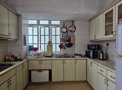 Moulmein Rise (D11), Apartment #579665451